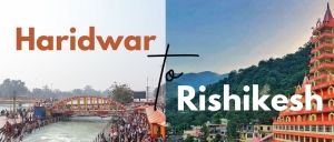 Service Provider of Tour Packages New Delhi Delhi 