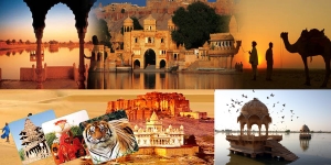 Service Provider of Domestic Tours New Delhi Delhi 