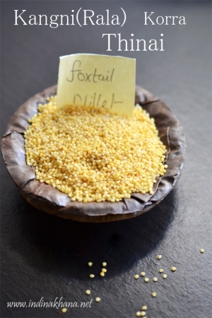 Manufacturers Exporters and Wholesale Suppliers of Foxtail millet (Botanical Name-Sataria Italica) Dindigul Tamil Nadu Manufacturers Exporters and Wholesale Suppliers of Foxtail millet (Botanical Name-Sataria Italica) Dindigul Tamil Nadu