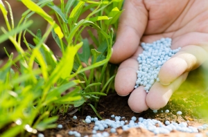 Manufacturers Exporters and Wholesale Suppliers of Fertilizer New Delhi Delhi