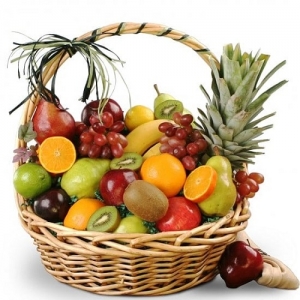 Manufacturers Exporters and Wholesale Suppliers of Fresh Fruits Aligarh Uttar Pradesh