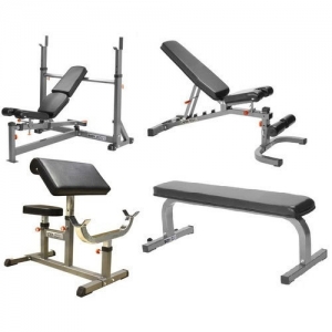 Manufacturers Exporters and Wholesale Suppliers of Gym Equipment Shalimar Bagh Delhi