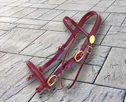 Manufacturers Exporters and Wholesale Suppliers of HORSE BRIDLES Kanpur Uttar Pradesh