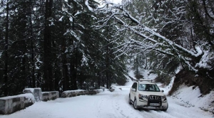Service Provider of Himachal Package By Car Manali Himachal Pradesh 