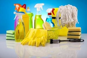 Manufacturers Exporters and Wholesale Suppliers of Housekeeping Products Noida Uttar Pradesh