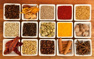Manufacturers Exporters and Wholesale Suppliers of Indian Spice Nagpur Maharashtra