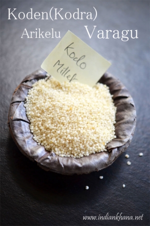 Manufacturers Exporters and Wholesale Suppliers of Kodo millet ( Botanical Name - Paspalum Scrobiculatum) Dindigul Tamil Nadu