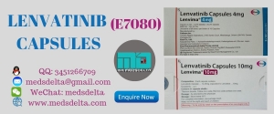 Manufacturers Exporters and Wholesale Suppliers of Lenvatinib Supplier Algona Manufacturers Exporters and Wholesale Suppliers of Lenvatinib Supplier Algona