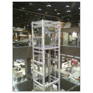 Manufacturers Exporters and Wholesale Suppliers of Machine Room Less Elevator Indore Madhya Pradesh