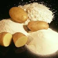 Manufacturers Exporters and Wholesale Suppliers of Modified Starch Gandhinagar Gujarat