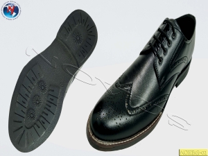 Manufacturers Exporters and Wholesale Suppliers of BROGUE SHOES Agra Uttar Pradesh