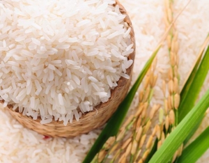 Manufacturers Exporters and Wholesale Suppliers of Non Basmati Rice Hooghly West Bengal