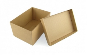 Manufacturers Exporters and Wholesale Suppliers of Packaging Box Telangana Andhra Pradesh