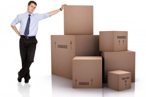 Service Provider of Packers & Movers New Delhi Delhi 
