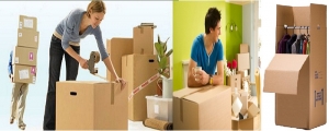 Service Provider of Packers and Movers Patna Bihar 