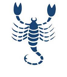 Manufacturers Exporters and Wholesale Suppliers of All Type Of Pest Control Service NAGPUR Maharashtra Manufacturers Exporters and Wholesale Suppliers of All Type Of Pest Control Service NAGPUR Maharashtra