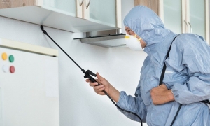 Service Provider of Pest Control Services New Delhi Delhi 