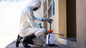 Service Provider of Pest Control Services New Delhi Delhi 