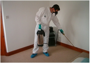 Manufacturers Exporters and Wholesale Suppliers of Residential Pest Control Services in your city NAGPUR Maharashtra Manufacturers Exporters and Wholesale Suppliers of Residential Pest Control Services in your city NAGPUR Maharashtra