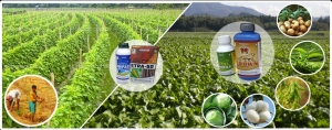 Manufacturers Exporters and Wholesale Suppliers of Pesticides New Delhi Delhi