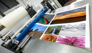 Service Provider of Printing Vijayawada Andhra Pradesh 