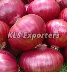Manufacturers Exporters and Wholesale Suppliers of RED ONION Tiruchirappalli Tamil Nadu