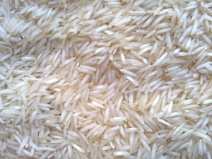 Manufacturers Exporters and Wholesale Suppliers of Rice Nagpur Maharashtra