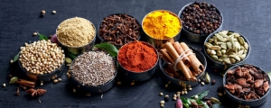 Manufacturers Exporters and Wholesale Suppliers of Spice Hyderabad Andhra Pradesh