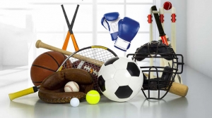 Manufacturers Exporters and Wholesale Suppliers of Sports Equipment Shalimar Bagh Delhi