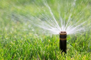Manufacturers Exporters and Wholesale Suppliers of Sprinkler Bangalore Karnataka