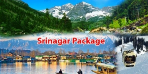 Service Provider of Srinagar Package Manali Himachal Pradesh 