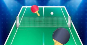 Manufacturers Exporters and Wholesale Suppliers of Table Tennis Delhi Delhi