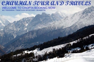 Service Provider of Tour Packages Shimla Himachal Pradesh 