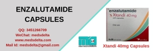 Manufacturers Exporters and Wholesale Suppliers of Enzalutamide Capsules Algona Manufacturers Exporters and Wholesale Suppliers of Enzalutamide Capsules Algona