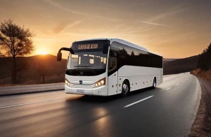 Service Provider of Bus Tour Packages New Delhi Delhi 