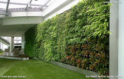 Manufacturers Exporters and Wholesale Suppliers of Vertical Wall Green Wall Garden Kolkata West Bengal