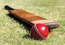 Manufacturers Exporters and Wholesale Suppliers of Cricket Delhi Delhi