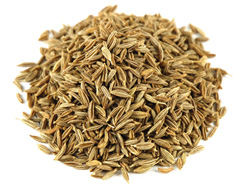 Manufacturers Exporters and Wholesale Suppliers of Seeds Coimbatore Tamil Nadu