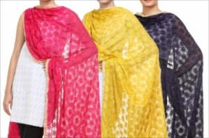 Manufacturers Exporters and Wholesale Suppliers of Dupattas New Delhi Delhi