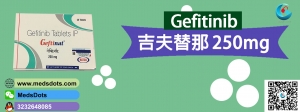 Manufacturers Exporters and Wholesale Suppliers of Natco Gefitinib Tablets delhi Delhi Manufacturers Exporters and Wholesale Suppliers of Natco Gefitinib Tablets delhi Delhi