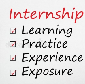 Service Provider of Internship Delhi Delhi 