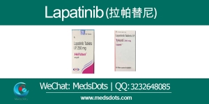 Manufacturers Exporters and Wholesale Suppliers of Indian Lapatinib Tablets delhi Delhi Manufacturers Exporters and Wholesale Suppliers of Indian Lapatinib Tablets delhi Delhi
