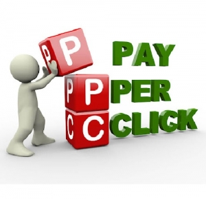 Service Provider of PPC Services Delhi Delhi 