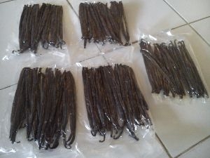 Manufacturers Exporters and Wholesale Suppliers of Vanilla Beans and Extracts Nairobi Nairobi