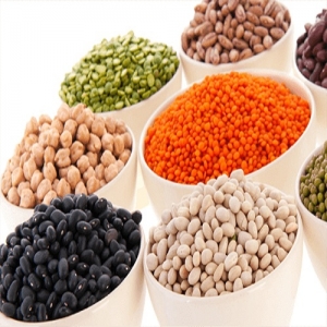 Manufacturers Exporters and Wholesale Suppliers of Pulses KANGRA Himachal Pradesh