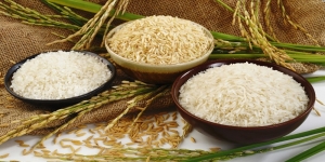 Manufacturers Exporters and Wholesale Suppliers of Rice Coimbatore Tamil Nadu
