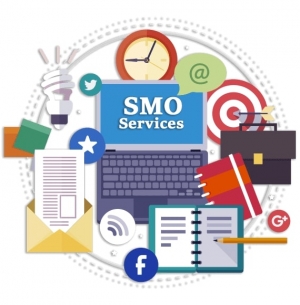 Service Provider of SMO Services Delhi Delhi 