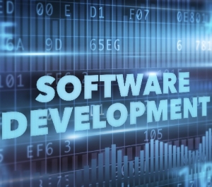 Service Provider of Software Development Delhi Delhi 