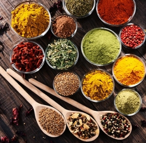 Manufacturers Exporters and Wholesale Suppliers of Spices & Seasonings KANGRA Himachal Pradesh