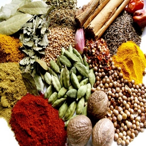 Manufacturers Exporters and Wholesale Suppliers of Spices Mahuva Gujarat
